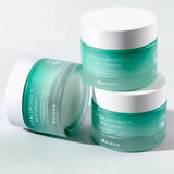 Krēms sejai ar cica-kompleksu MIZON Cicaluronic Moisturizer